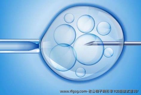 老公精子畸形率100能做试管吗?