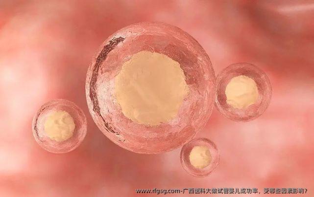 广西医科大做试管婴儿成功率，受哪些因素影响？