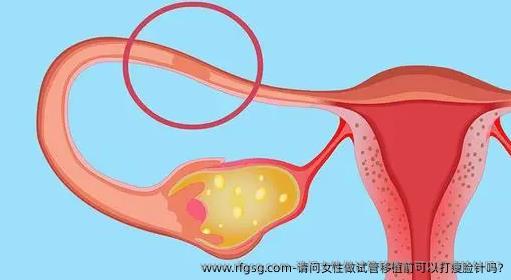 请问女性做试管移植前可以打瘦脸针吗?