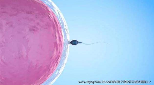 2022年潍坊哪个医院可以做试管婴儿？