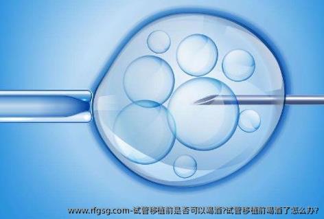 试管移植前是否可以喝酒?试管移植前喝酒了怎么办?