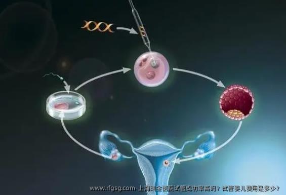 上海瑞金医院试管成功率高吗？试管婴儿费用是多少？