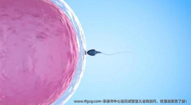 承德市中心医院试管婴儿省钱技巧，优惠政策需了解！