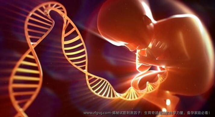 揭秘试管刺激因子：生育奇迹背后的科学力量，备孕家庭必看！