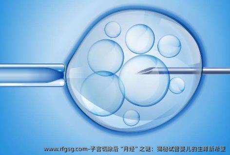 子宫切除后“月经”之谜：揭秘试管婴儿的生育新希望