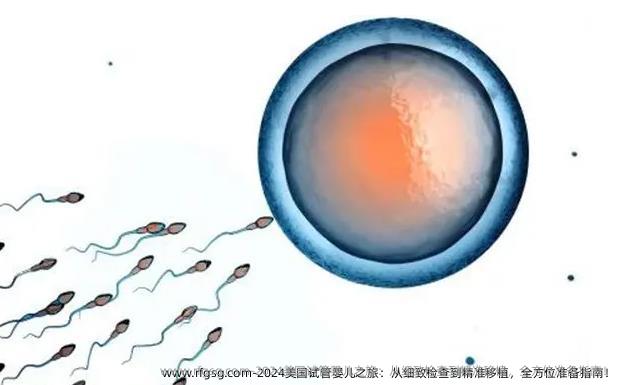 2024美国试管婴儿之旅：从细致检查到精准移植，全方位准备指南！