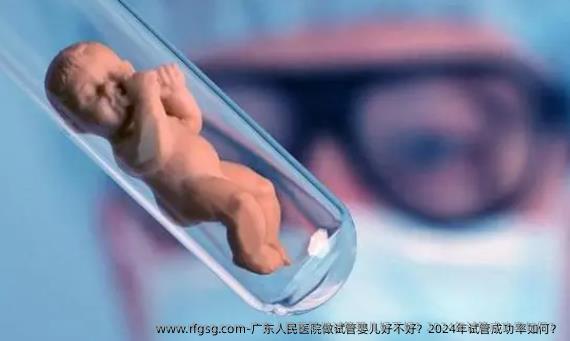 广东人民医院做试管婴儿好不好？2024年试管成功率如何？