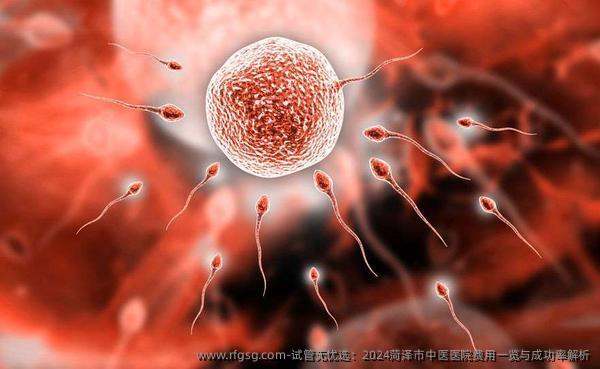 试管无忧选：2024菏泽市中医医院费用一览与成功率解析