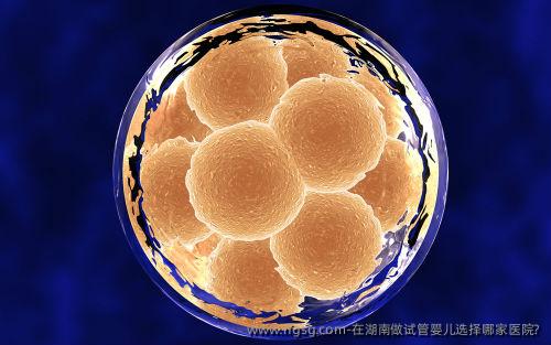 在湖南做试管婴儿选择哪家医院?