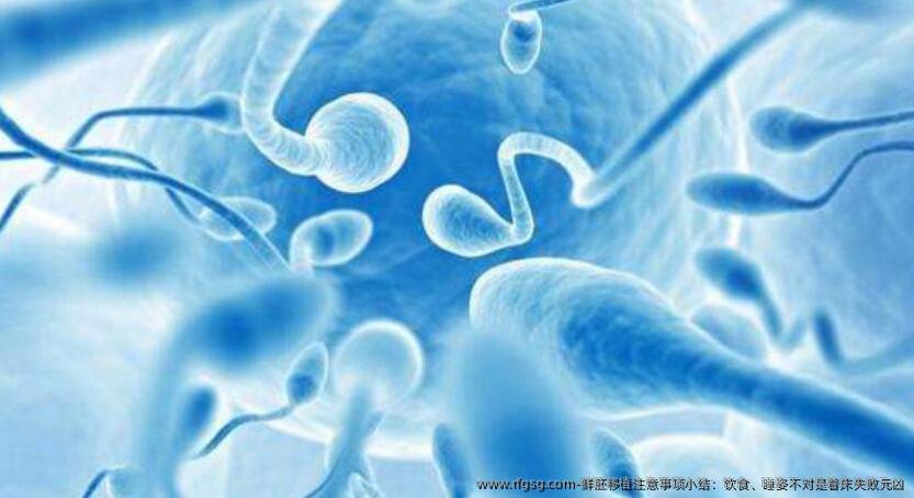 鲜胚移植注意事项小结：饮食、睡姿不对是着床失败元凶