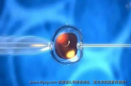 试管婴儿有哪些好处、成功率的因素有哪些？