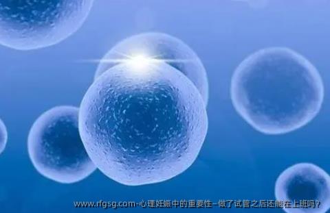 心理妊娠中的重要性—做了试管之后还能在上班吗？