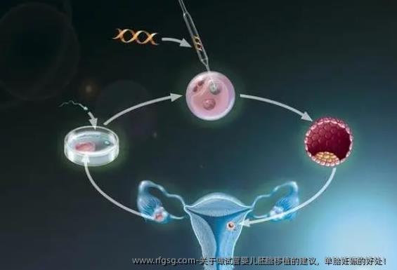 关于做试管婴儿胚胎移植的建议，单胎妊娠的好处！