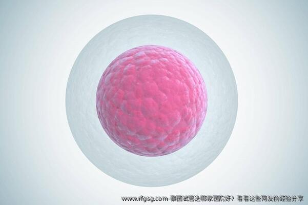 泰国试管选哪家医院好？看看这些网友的经验分享