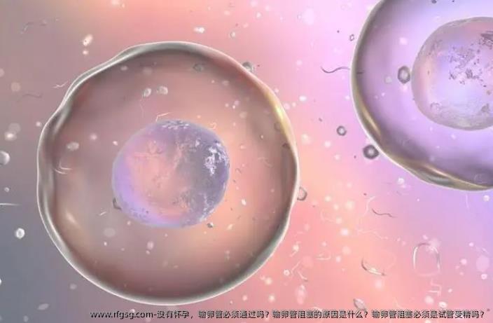 没有怀孕，输卵管必须通过吗？输卵管阻塞的原因是什么？输卵管阻塞必须是试管受精吗？