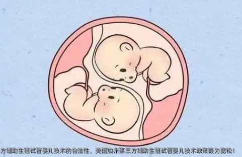 揭示美国第三方辅助生殖试管婴儿技术的合法性，美国加州第三方辅助生殖试管婴儿技术政策最为宽松！