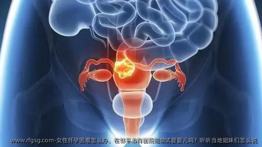 女性怀孕困难怎么办，在邹平市有医院能做试管婴儿吗？听听当地姐妹们怎么说