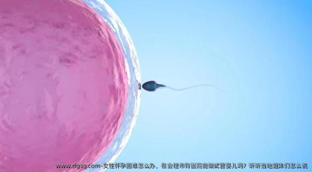 女性怀孕困难怎么办，在会理市有医院能做试管婴儿吗？听听当地姐妹们怎么说
