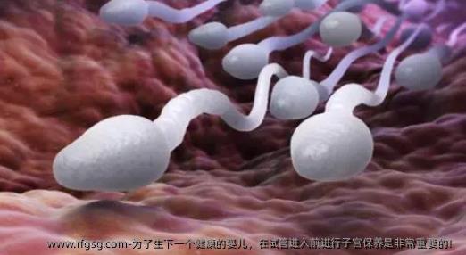 为了生下一个健康的婴儿，在试管进入前进行子宫保养是非常重要的！