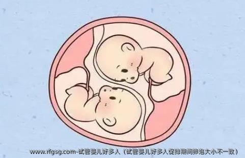 试管婴儿好多人（试管婴儿好多人促排期间卵泡大小不一致）