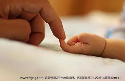 试管婴儿28mm的卵泡（试管卵泡26.27是不是就没用了）