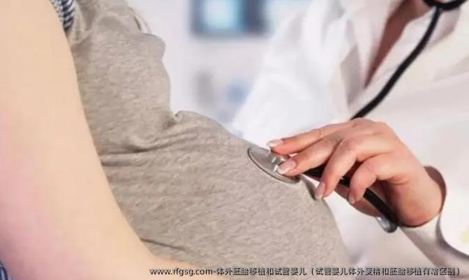 体外胚胎移植和试管婴儿（试管婴儿体外受精和胚胎移植有啥区别）