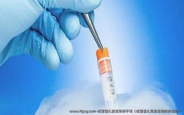 试管婴儿要成熟卵子吗（试管婴儿需要成熟的卵泡吗）