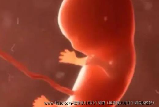 试管婴儿用几个卵泡（试管婴儿用几个卵泡比较好）