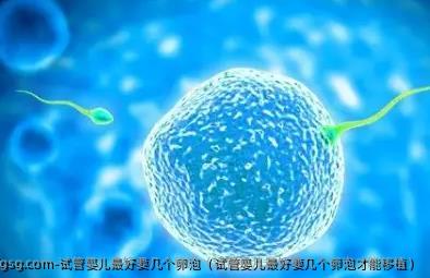试管婴儿最好要几个卵泡（试管婴儿最好要几个卵泡才能移植）