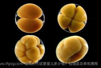 国内三代试管婴儿多少钱？包括成功率和费用