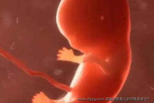 成都试管婴儿的价格是多少？
