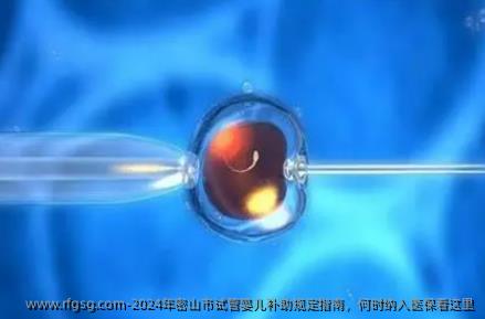 2024年密山市试管婴儿补助规定指南，何时纳入医保看这里