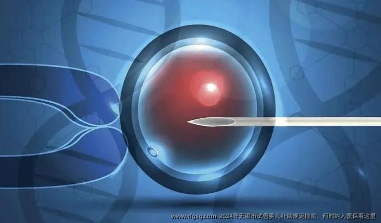 2024年无锡市试管婴儿补助规定指南，何时纳入医保看这里