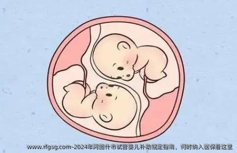 2024年阿图什市试管婴儿补助规定指南，何时纳入医保看这里