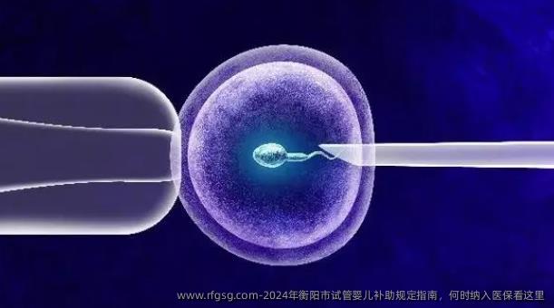 2024年衡阳市试管婴儿补助规定指南，何时纳入医保看这里