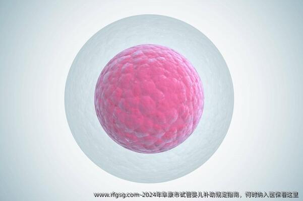 2024年阜康市试管婴儿补助规定指南，何时纳入医保看这里
