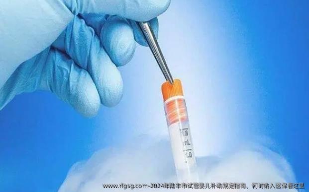 2024年陆丰市试管婴儿补助规定指南，何时纳入医保看这里