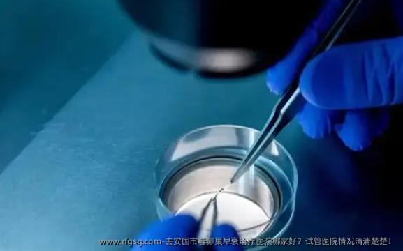 去安国市看卵巢早衰治疗医院哪家好？试管医院情况清清楚楚！