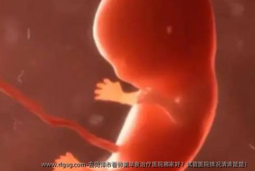 去菏泽市看卵巢早衰治疗医院哪家好？试管医院情况清清楚楚！