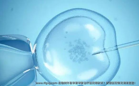 去樟树市看卵巢早衰治疗医院哪家好？试管医院情况清清楚楚！