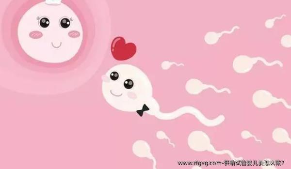 供精试管婴儿要怎么做？