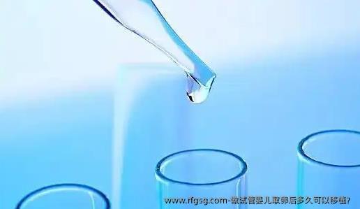 做试管婴儿取卵后多久可以移植？