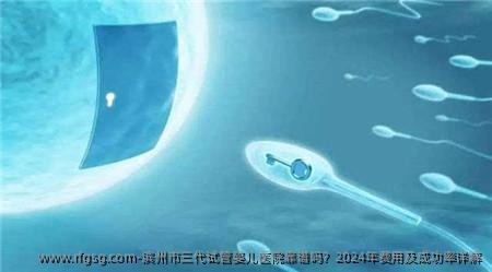 滨州市三代试管婴儿医院靠谱吗？2024年费用及成功率详解