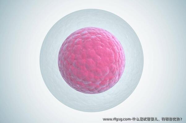什么是试管婴儿，有哪些优势？