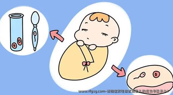 弱精症男性做试管婴儿的成功率是多少？