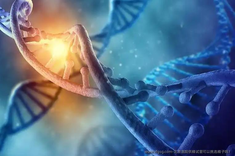 北京医院供精试管可以挑选精子吗？