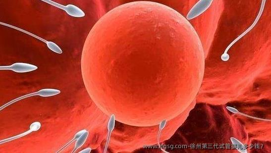 徐州第三代试管婴儿多少钱？