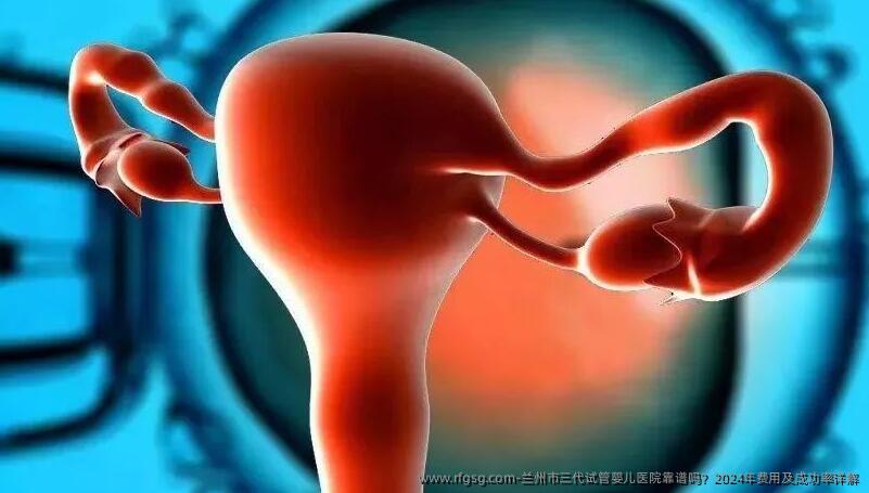兰州市三代试管婴儿医院靠谱吗？2024年费用及成功率详解