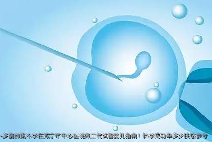 多囊卵巢不孕在咸宁市中心医院做三代试管婴儿指南！怀孕成功率多少供您参考