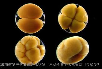 雌激素高引起的不孕能否在丰城市做第三代试管婴儿怀孕，不孕不育手术试管费用是多少?